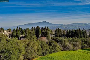 1819 Mockingbird Pl, Danville, CA 94526 - Photo 29