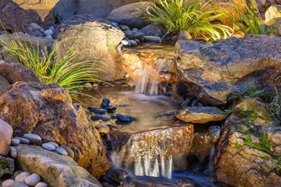 854 Leo Way, Oakland, CA 94611 - Photo 3