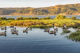 476 E St, Benicia, CA 94510 - Photo 29