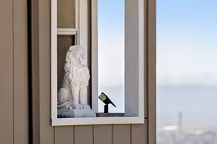 10353 Royal Oak Rd, Oakland, CA 94605 - Photo 45