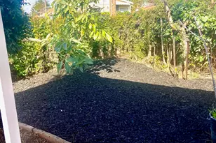 24386 Thomas Ave, Hayward, CA 94544 - Photo 19