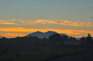 1517 Buena Vista St, Brentwood, CA 94513 - Photo 41