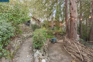 11 Los Conejos, Orinda, CA 94563 - Photo 43