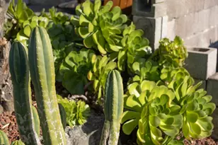 3363 Kiwanis St, Oakland, CA 94602 - Photo 43