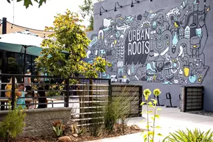 614 28th St, Sacramento, CA 95816 - Photo 43