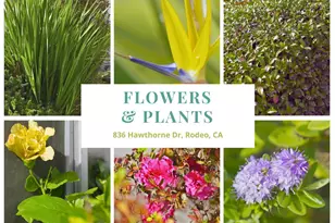 836 Hawthorne Dr, Rodeo, CA 94572 - Photo 47