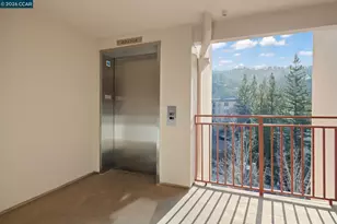 5913 Horsemans Canyon Dr, Walnut Creek, CA 94595 - Photo 41