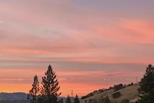 5913 Horsemans Canyon Dr, Walnut Creek, CA 94595 - Photo 51