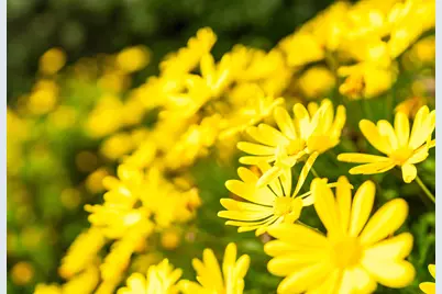 2059 Westbrook Ln, Livermore, CA 94550 - Photo 13