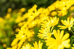 2059 Westbrook Ln, Livermore, CA 94550 - Photo 13