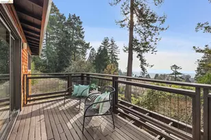 1024 Miller Ave, Berkeley, CA 94708 - Photo 13