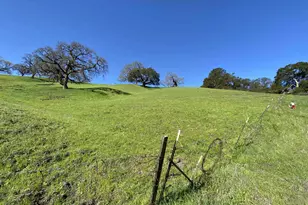 2490 Tassajara Ln, Danville, CA 94526 - Photo 3