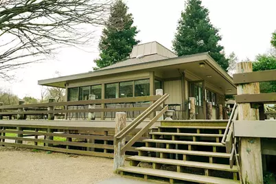 4515 Ewing Rd, Castro Valley, CA 94546 - Photo 35