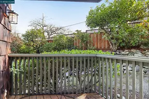 911 Dewing Ave, Lafayette, CA 94549 - Photo 33