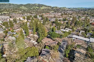 911 Dewing Ave, Lafayette, CA 94549 - Photo 41