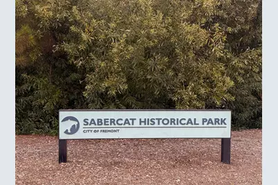 341 Dana Street, Fremont, CA 94539 - Photo 49