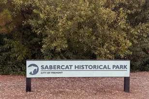 341 Dana St, Fremont, CA 94539 - Photo 49