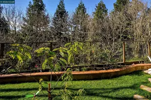 612 Pasa Tiempo Ct, Pleasant Hill, CA 94523 - Photo 45