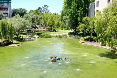 440 Civic Dr #203, Walnut Creek, CA 94596 - Photo 23
