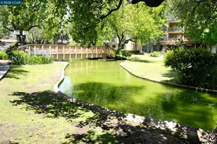 440 Civic Dr, Walnut Creek, CA 94596 - Photo 27