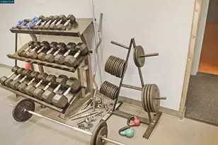 440 Civic Dr, Walnut Creek, CA 94596 - Photo 39