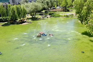 440 Civic Dr, Walnut Creek, CA 94596 - Photo 21