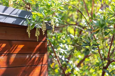 577 El Dorado Ave, Oakland, CA 94611 - Photo 45