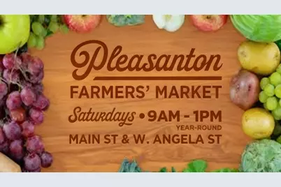 4657 Herrin Way, Pleasanton, CA 94588 - Photo 41