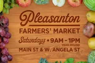 4657 Herrin Way, Pleasanton, CA 94588 - Photo 41