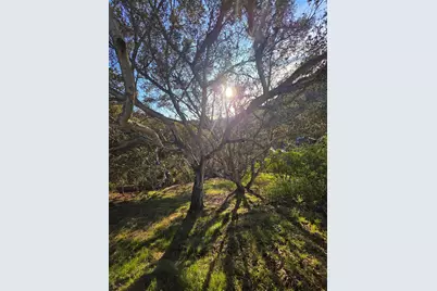 0 Longfellow Dr, Belmont, CA 94002 - Photo 1