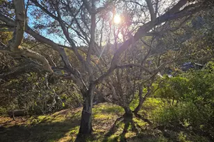 0 Longfellow Dr, Belmont, CA 94002 - Photo 1