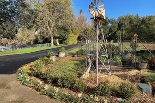 401 Pine Creek Rd, Walnut Creek, CA 94598 - Photo 5