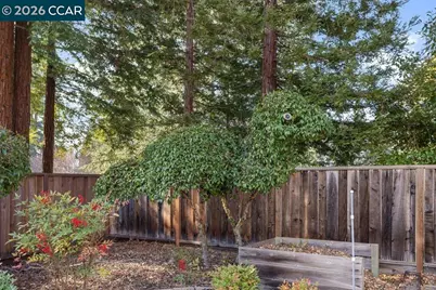 515 La Mancha Ct, Danville, CA 94526 - Photo 49