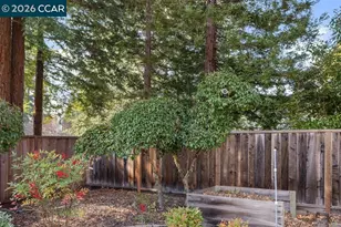 515 La Mancha Ct, Danville, CA 94526 - Photo 49