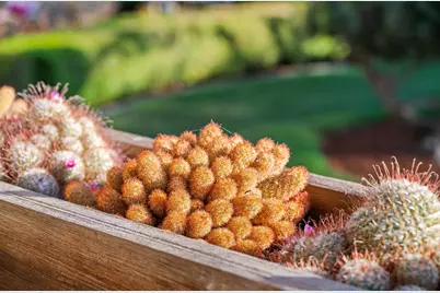 5615 Ludwig Ave, El Cerrito, CA 94530 - Photo 7