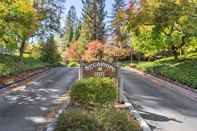 441 Sycamore Hill Dr, Danville, CA 94526 - Photo 3