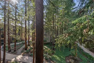 175 Sierra Dr, Walnut Creek, CA 94596 - Photo 27