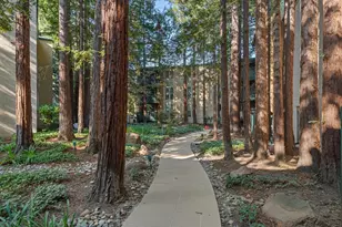 175 Sierra Dr, Walnut Creek, CA 94596 - Photo 29