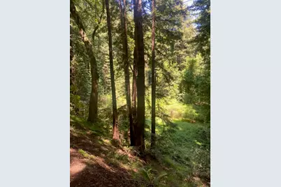 2 Wainwright Pl, Mill Valley, CA 94941 - Photo 3