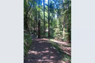 2 Wainwright Pl, Mill Valley, CA 94941 - Photo 1