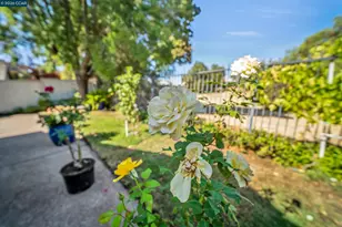 441 Apple Hill Dr, Brentwood, CA 94513 - Photo 25