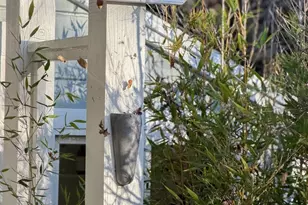 48 Bonita Ct, Walnut Creek, CA 94595 - Photo 43