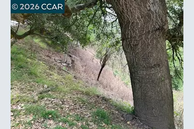 6201 Skyline Blvd, Oakland, CA 94611 - Photo 11