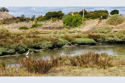 37221 Salt Pond Pl, Newark, CA 94560 - Photo 59