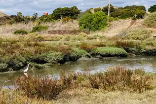 37221 Salt Pond Pl, Newark, CA 94560 - Photo 59