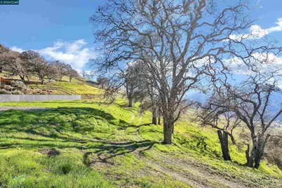 420 Leon Ct, Clayton, CA 94517 - Photo 45