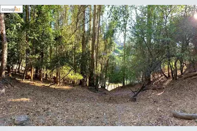 6698 Moore Dr, Oakland, CA 94611 - Photo 13