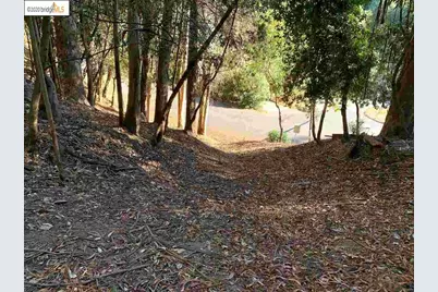 6698 Moore Dr, Oakland, CA 94611 - Photo 9