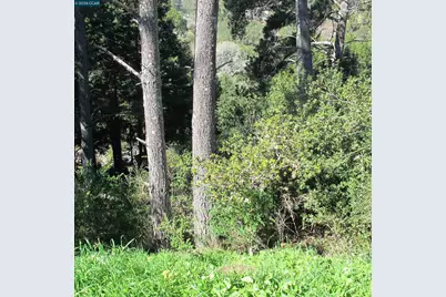 0 Skyline Blvd., Oakland, CA 94619 - Photo 17