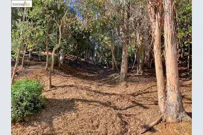 6696 Moore Dr, Oakland, CA 94611 - Photo 5